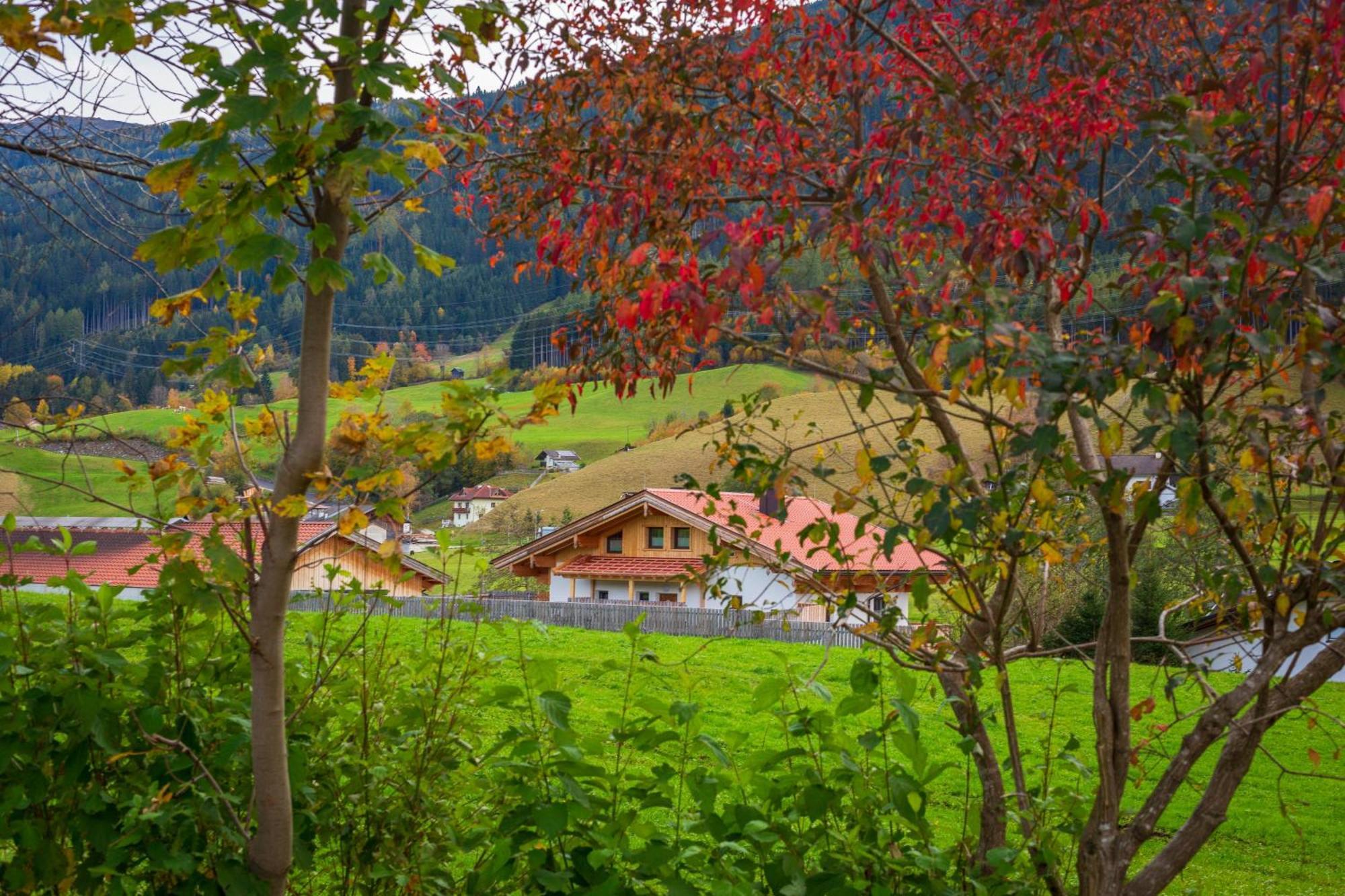 Ferienwohnung Am Bauernhof, Korbingerhof Rinn 외부 사진
